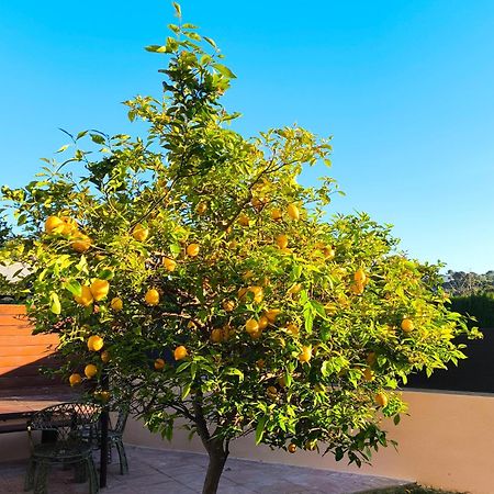 Adosado Con Jardin En Los Xalets De Salou Exteriör bild