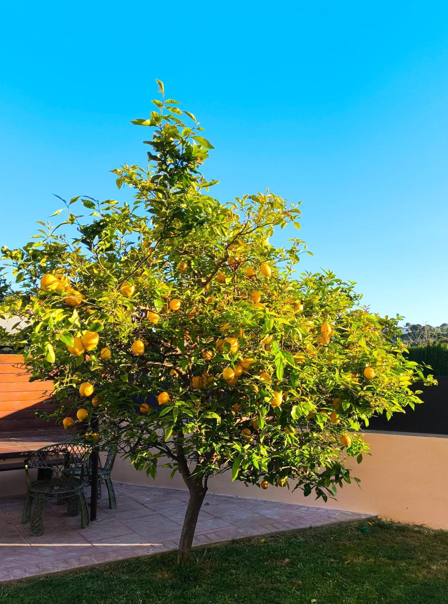 Adosado Con Jardin En Los Xalets De Salou Exteriör bild